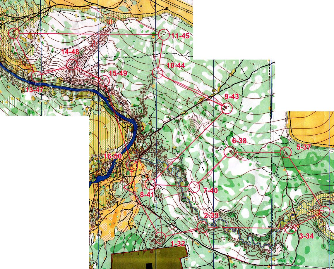 Gold Rings (2010-10-23)