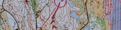 O-Ringen 2012 E5 (2012-07-27)