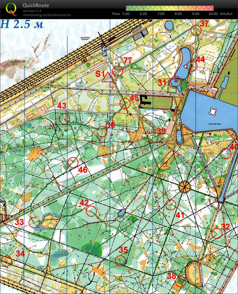 Необычный выбор. (2012-09-08)