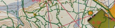 Чемпионат РБ по лыжному ориентированию, классика (2013-02-23)