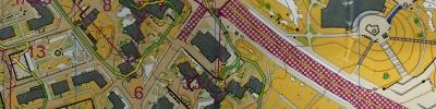 One Man Relay Silwan Liuks Park Races (2016-11-20)