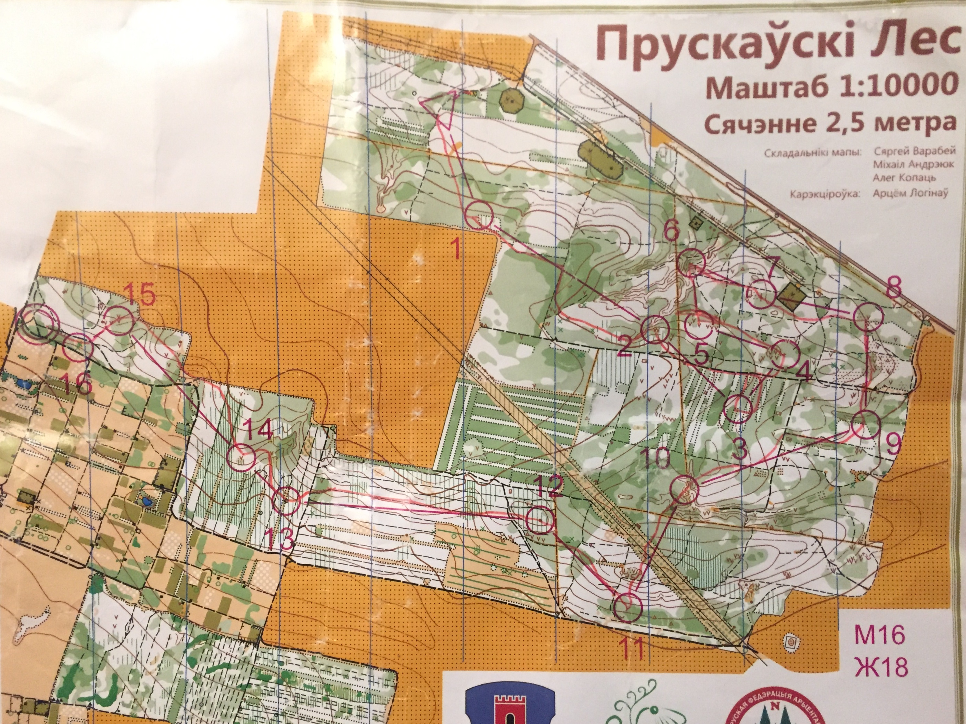 Брестский подснежник 2018 (2018-03-31)